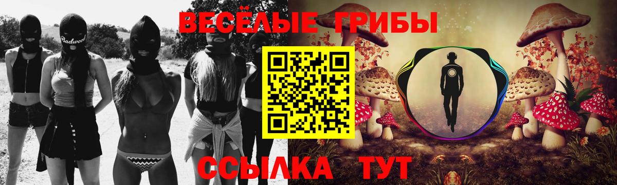 Галлюциногенные грибы GOLDEN TEACHER  Вход с VPN  Зима  Галлюциногенные грибы Psilocybine cubensis 